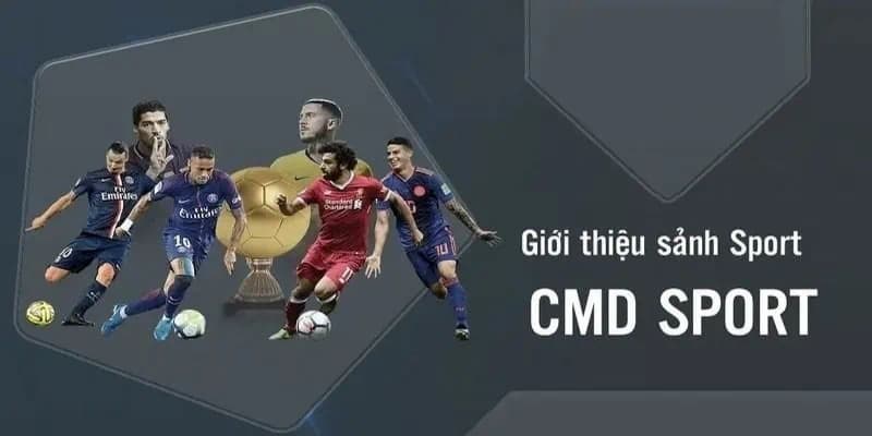 CMD Thể Thao Hello88 – Top Bộ Môn Hấp Dẫn Độc Quyền 2 Giới thiệu sơ lược về sân triệu đô nhà Hello88