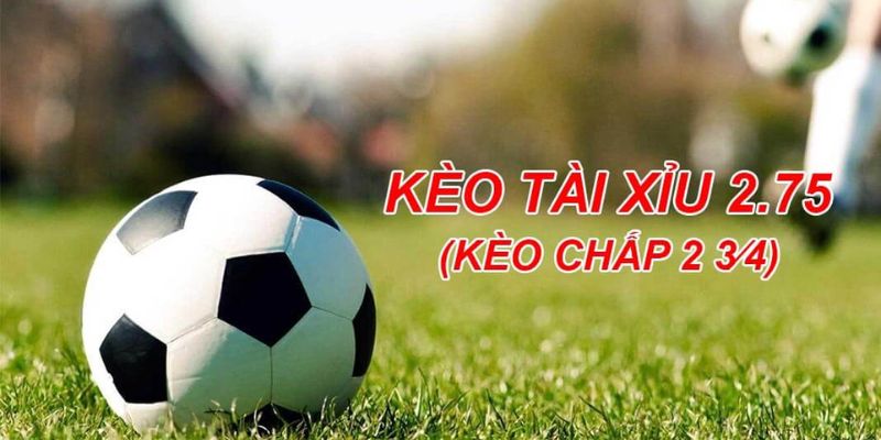 Kèo Chấp 2.75 Hello88 – Cách Chơi Và Bí Kíp Cá Cược Thú Vị 2 Tìm hiểu rõ nhất về kèo chấp 2.75