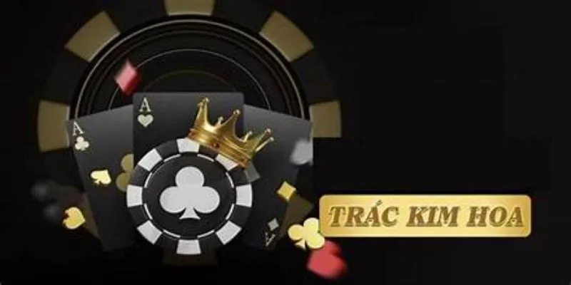 trac kim hoa hello88